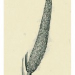 viewer_004